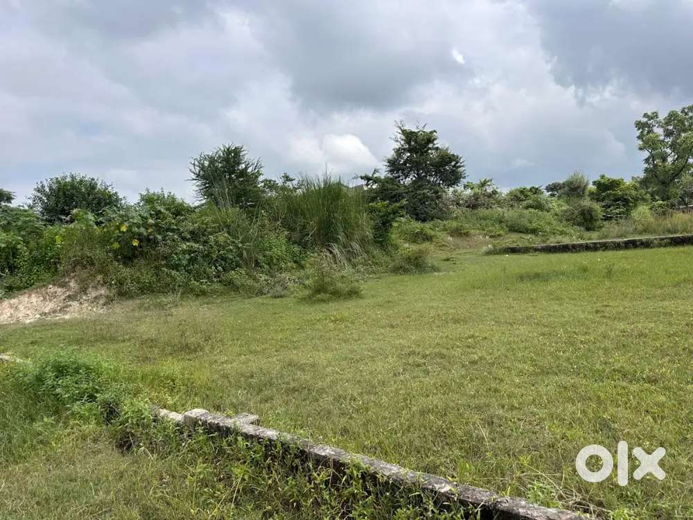 Vip & Commercials land