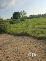 इंजिनियर कॉलेज रोड पर डिगमा मे है 12 डिसमिल st plot है