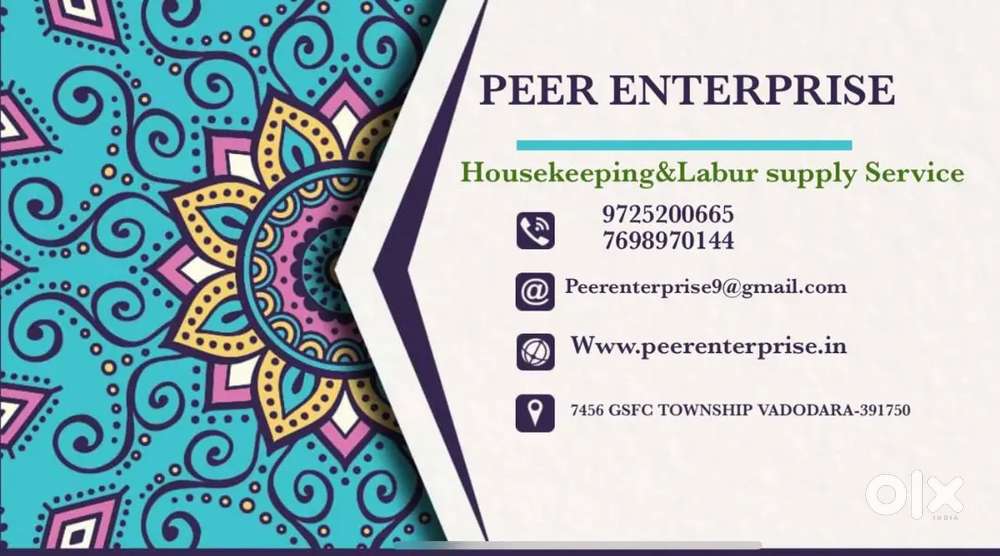 Home cleaning house keeping service plumbing services pest control
