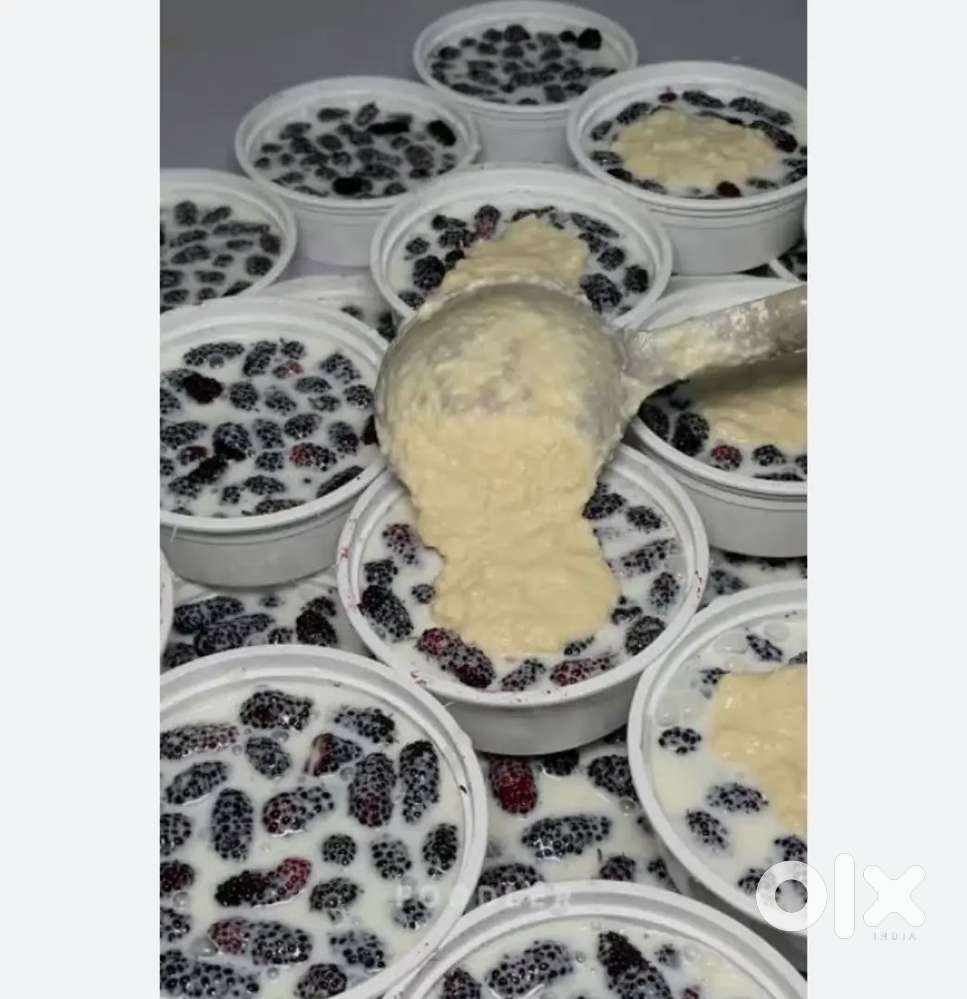 Shahdhoot malai maker