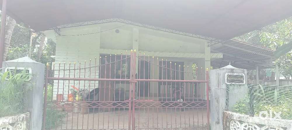 Madakathra 2bhk house for lease