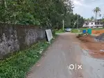 ANGAMALY, KARUKUTTY NEAR FISAT 24CENT  RESIDENTIAL HOUSE PLOT FOR SALE