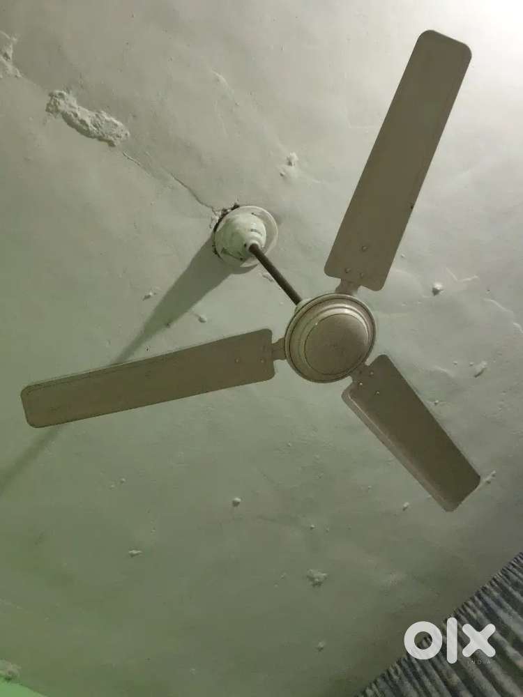 Electric Fan