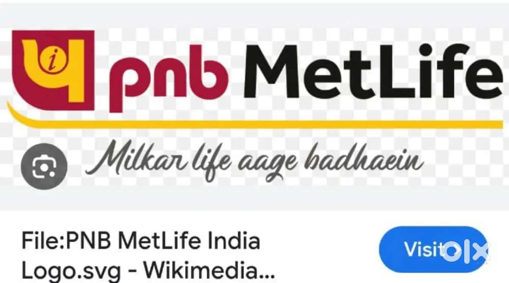 OFFICE STAFF IN PNB METLIFE PALAKKAD