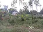 Town plot for sale near puthoor town