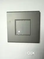 Electrition