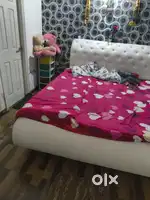 Need a girl room patner