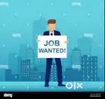 CUSTOMER SERVICE EXECUTIVE