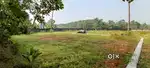 PADDY VIEW PLOTS NEAR PATTIMATTOM PAZHANTHOTTAM INSIDE GATED COMMUNITY
