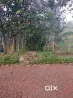 30 cent plot for sale Mavelikkara
