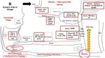 Industrial/Commercial Land for Sale In Dist Balliaa