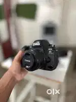 Canon 6d ii Body 50mm Lens