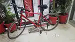 Bicycle Trek 7.1