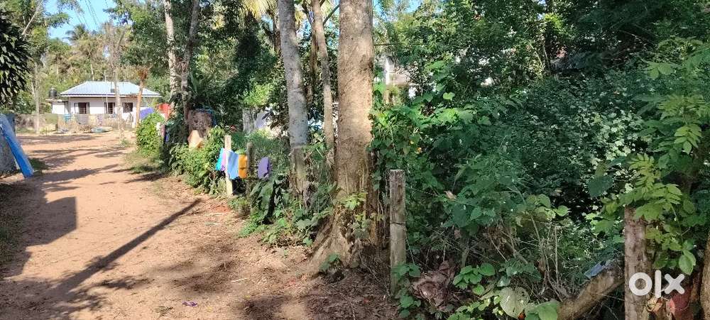 കടമുറി ഓഫീസ് എന്നിവയ്ക്ക് പറ്റിയനാല് സെന്റ്3.25 സെന്റിന് ചോദ്യം