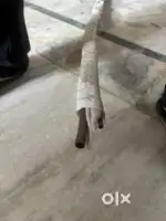 10 foot Split ac cooper pipe with wiring fitting