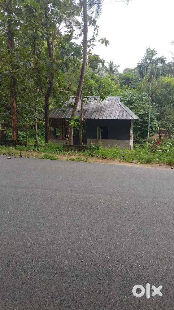 For sale .with a hotel of one hall and one kitchen