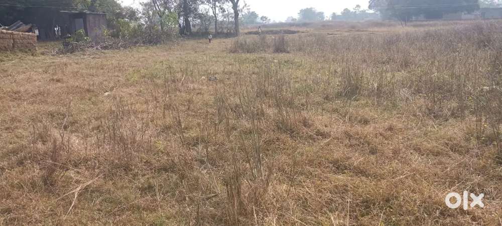 40 Dismil general plot