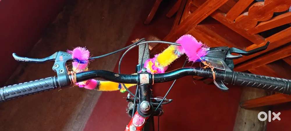 Hero bonfire bicycle
