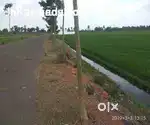 90 cents Land, Chollangi, Kakinada-Yanam road, NH-216