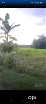 1katha 3 lessa myadi pota land at Puali pathar Duliajan