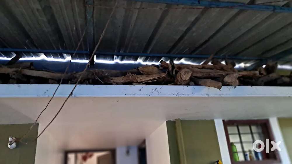 മാവിൻ വിറക് വില്പനക്ക്