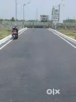 CMDA plots in Tambaram