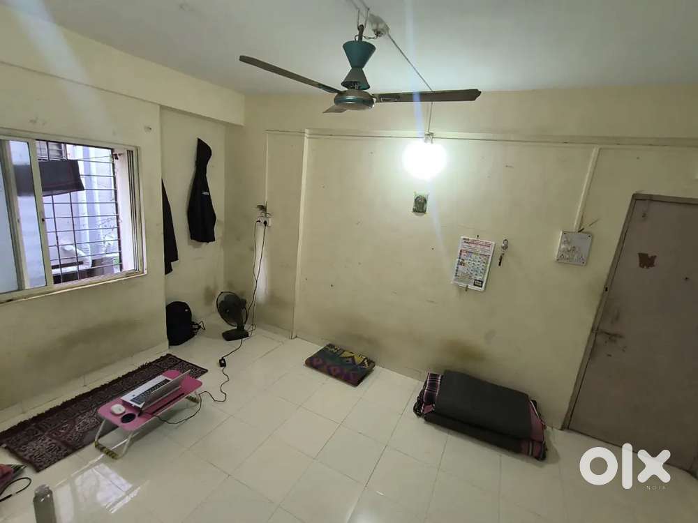 Looking for 1 one professional male /boy