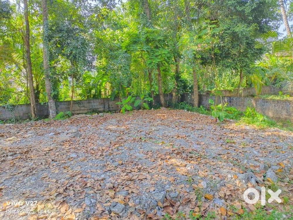 (IDS-231813) Residential 5 Cent Dry Land for Sale At Pattom Marapalam