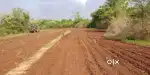 જગ્યા જૂની શરત એકદમ ક્લિયર