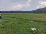 12 ACKRS AGRICULTURE LAND FOR SALE