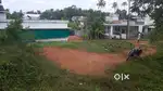 12 cent Square House plot for sale in Muthamkuzhi