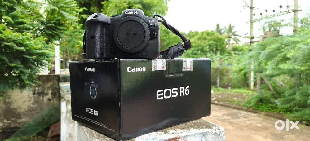 Canon R6 Camera