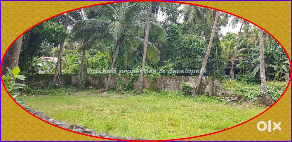 10 cents House plot - Rectangular shaped - Near Puthiyangadi