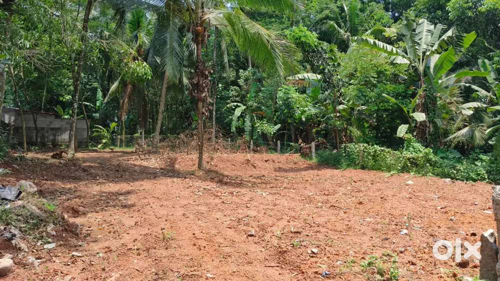 Argent sell 13.5 cent house plot, പനച്ചമൂടിന് സമീപം