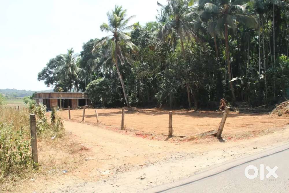 10 cent plot for sale, pazhanji jerusalem center