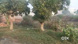 Residential plot