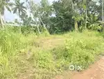 5CENT HOUSE PLOT KARIYAVATTOM PULLANIVILA