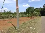 തൊടുപുഴ കദലിക്കാട് 16,12,10 സെൻ്റ് ഹൗസ് പ്ലോട്ട് വിൽപ്പനക്ക്