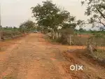 Mullai Nagar, DTCP Approved