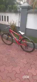 Bicycle Firefox
