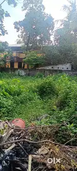 Thoppumpady 7.5 cent plot for sale