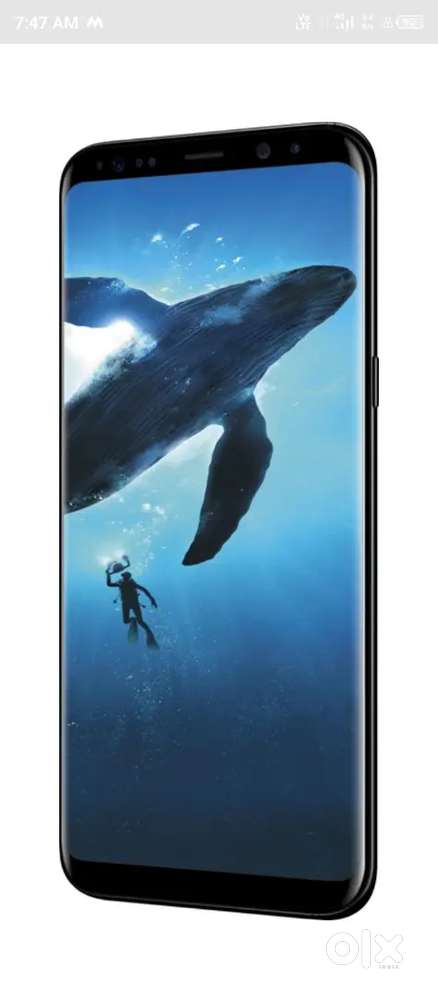 Samsung galaxy s8 plus