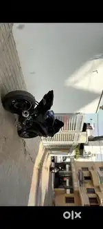 Yamaha r15 v3 bs4