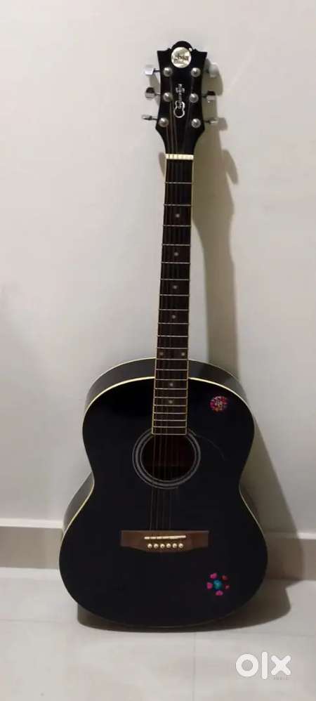 Guitar collection and processor looper