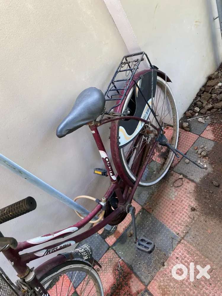 Lady Bird cycle for sale