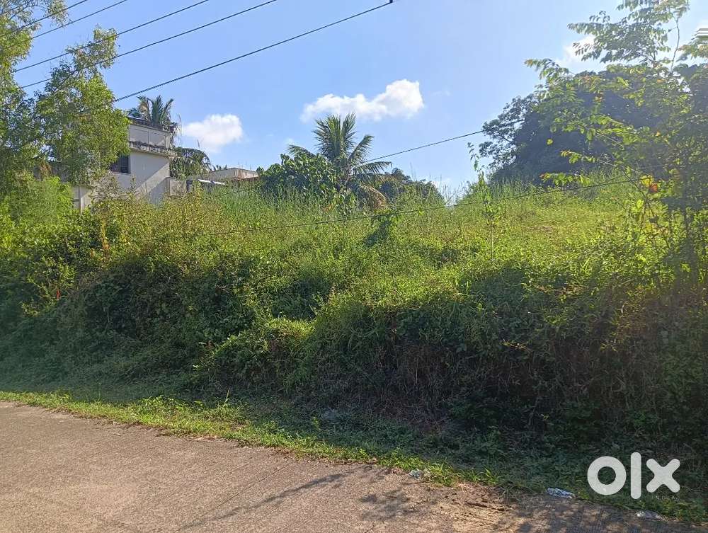 8 Cents Leyout Land Airport road Meryhill