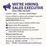 Sales Executive (Full-Time, On-Site)