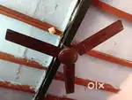 Celling Fan
