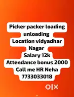 Picker packer loading unloading vidyadhar Nagar Jaipur