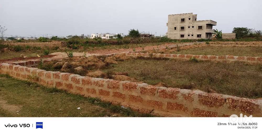 PATIA daruthenga ODM pathargadia